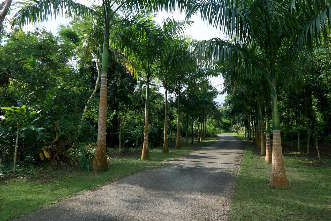 カボ・ロホ Hacienda Tres Casitasゲストハウス エクステリア 写真